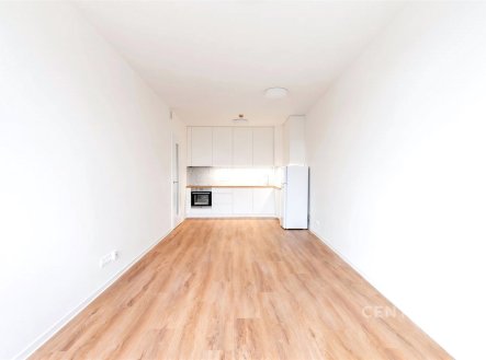 Pronájem bytu, 2+kk, 56 m², Praha – náhled fotky 3