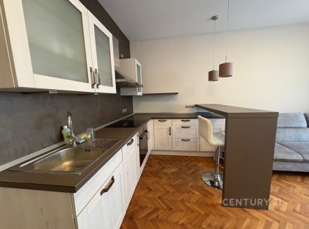 Pronájem bytu, 2+kk, 53 m²