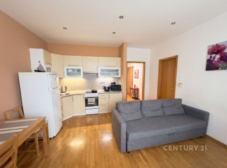 Pronájem bytu, 2+kk, 51 m²
