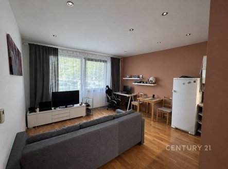 Pronájem bytu, 2+kk, 51 m²