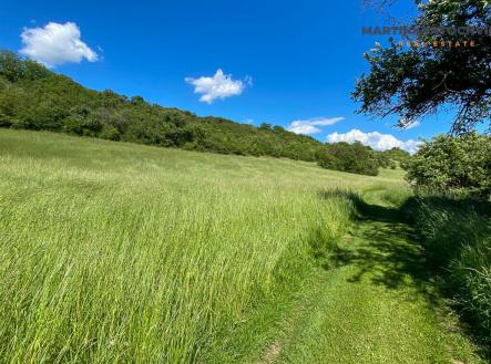 Prodej - pozemek, zemědělská půda, 4 553 m²