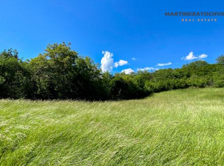 Prodej - pozemek, zemědělská půda, 4 553 m²