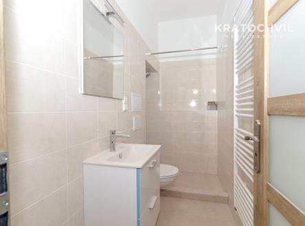 Pronájem bytu, 1+kk, 28 m²