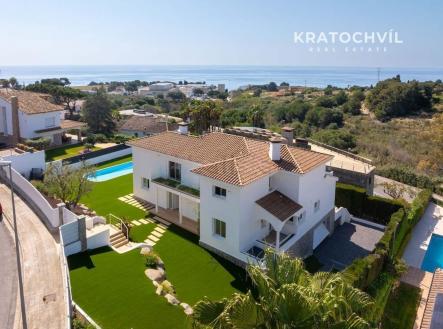 Orchid Casel de Paradise.