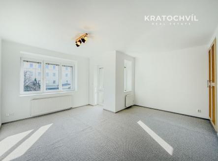 Pronájem bytu, 1+1, 53 m²