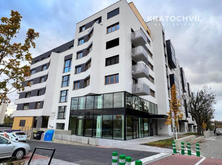 Pronájem bytu, 2+kk, 53 m²