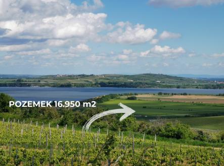 Prodej - pozemek, zemědělská půda, 16 950 m²