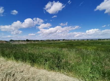 Prodej - pozemek, zemědělská půda, 16 950 m²