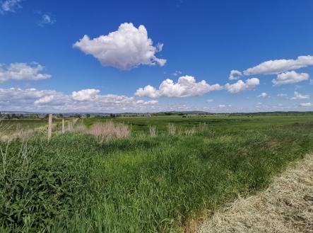 Prodej - pozemek, zemědělská půda, 16 950 m²