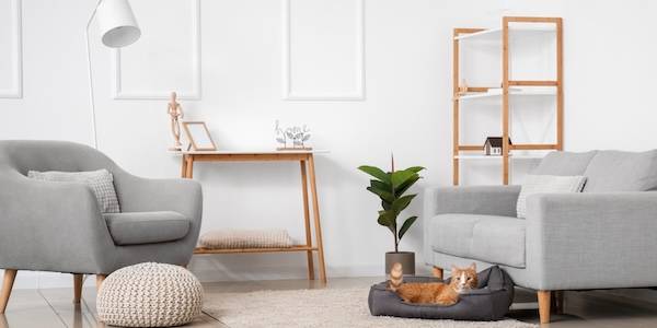 Jak vybrat stylový pelíšek pro kočku, který zapadne do vašeho interiéru