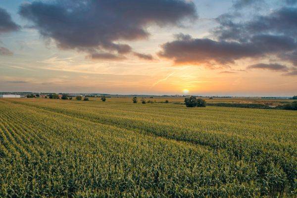 Proč lidé kupují půdu tam, kde to znají?