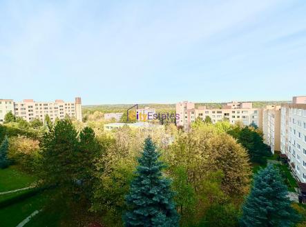 Prostorný byt 3+1 s lodžií a hezkým výhledem, 67 m2, Barrandov