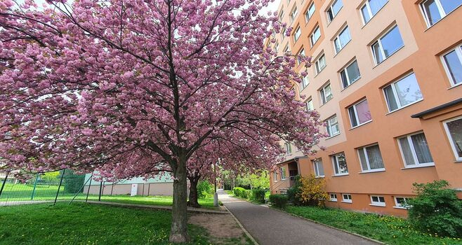 Litoměřice - prodej bytu 2kk v osobním vlastnictví
