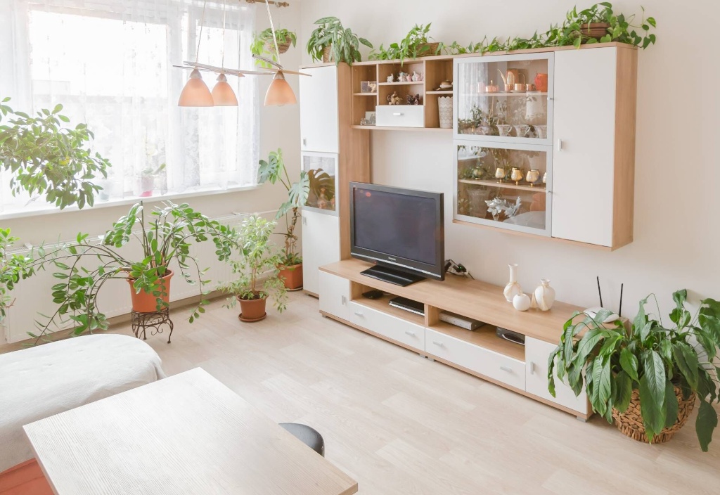 Prodej bytu, Olomouc