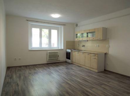 Louny: byt 1+0, 35 m2, Palackého ul.