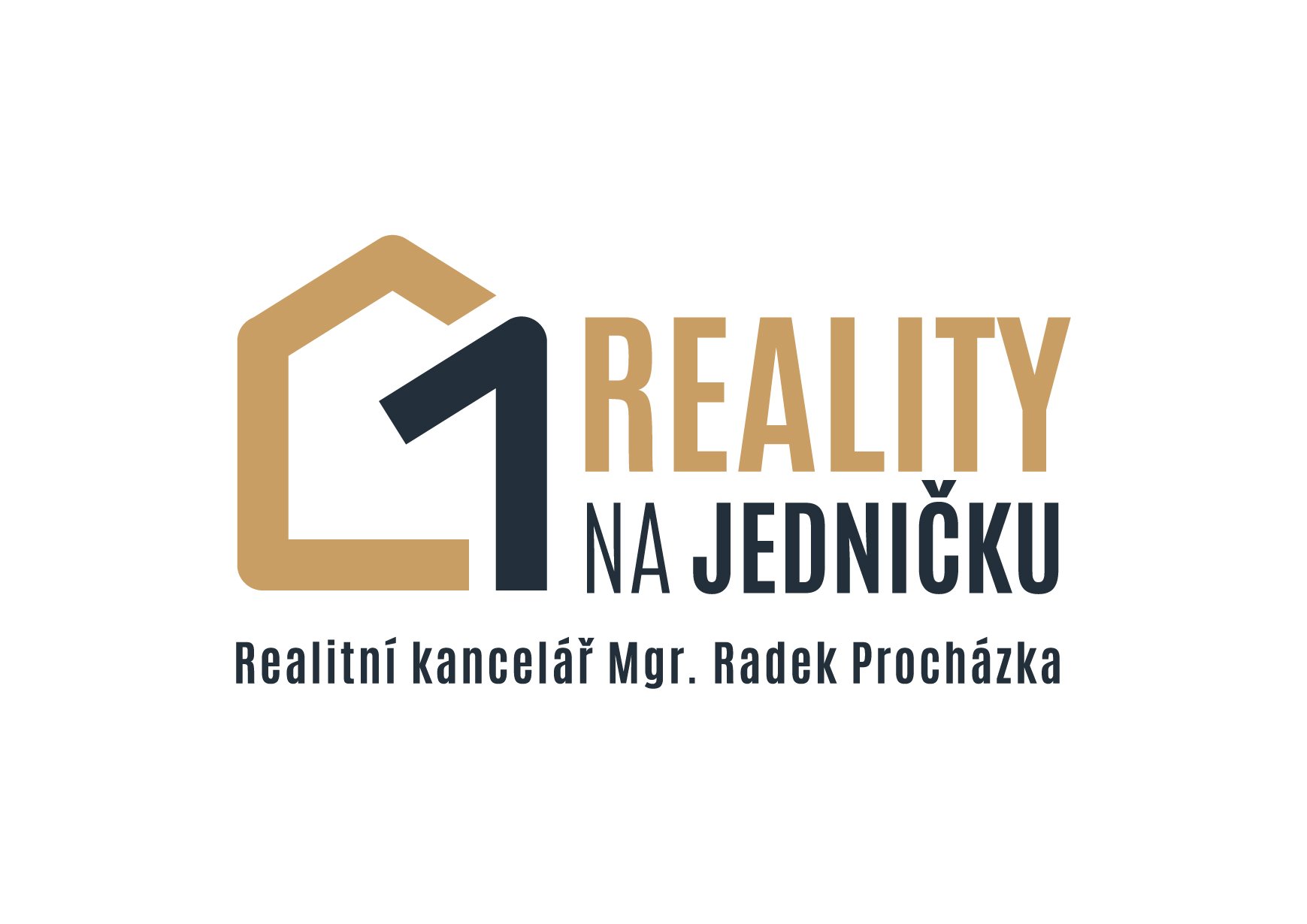 Reality na1_logo-01.jpg